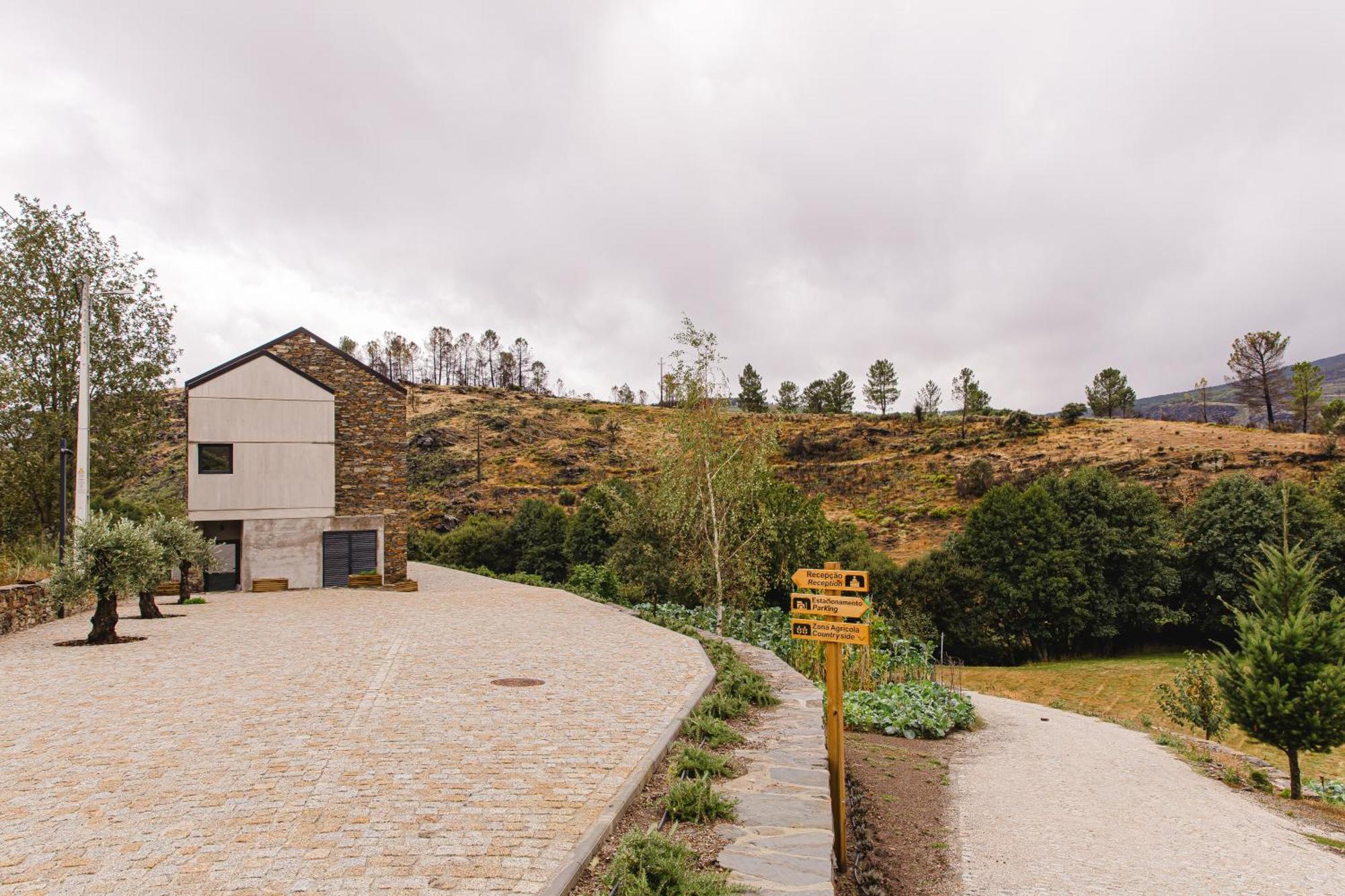 VidemonteTerrasense Mountain Charm Retreat & Farmアパートメント エクステリア 写真